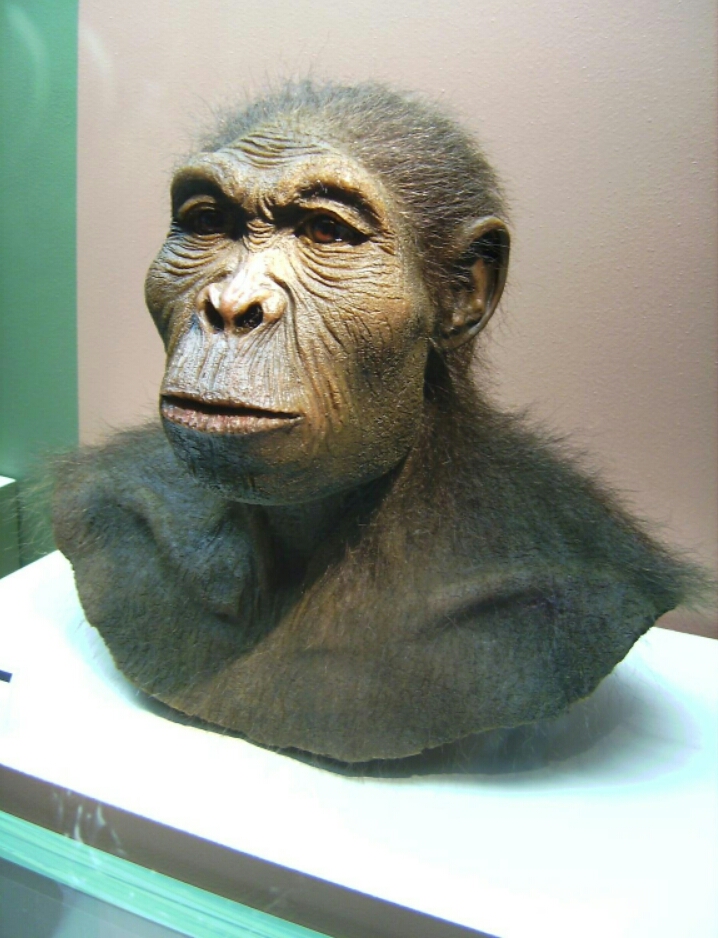 Tarixdə yaşayan bütün insan növləri və adlarının mənası