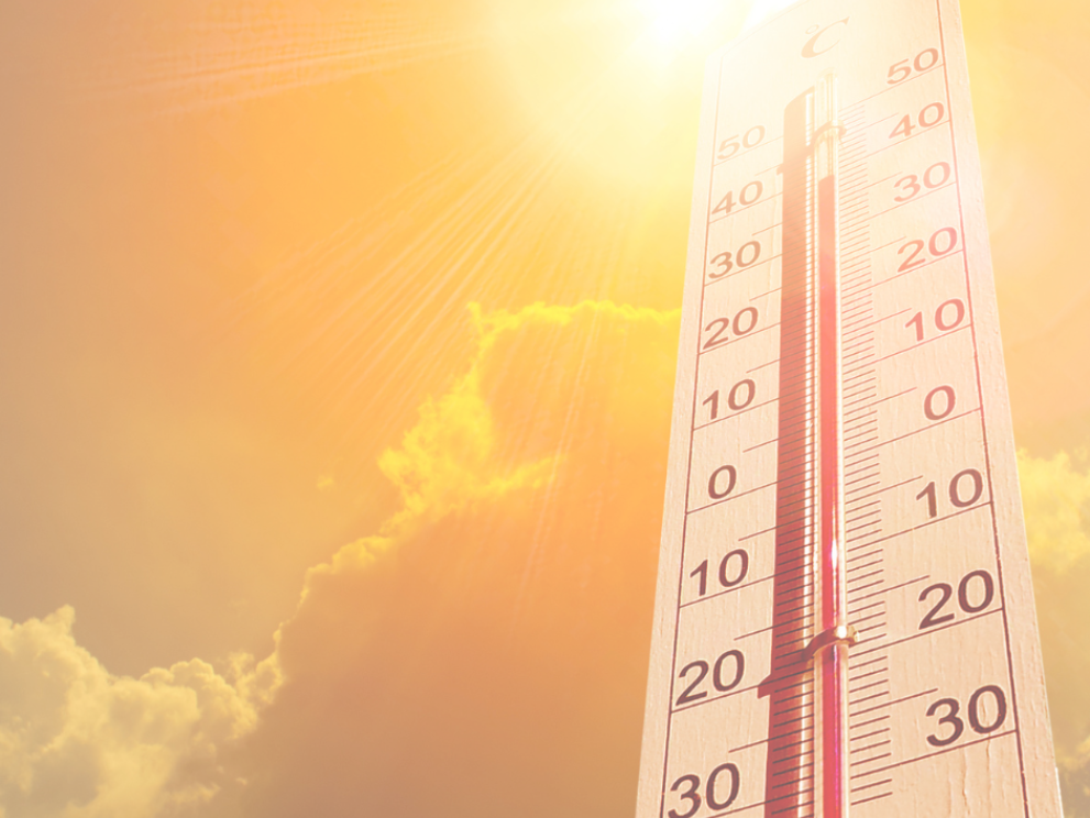 Houtpellets kopen in de zomer 1 Houtpellets kopen in de zomer 1