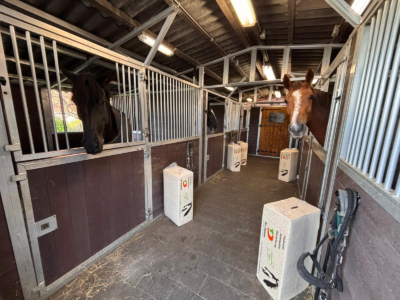 Whats App Image 2025 12 03 at 11 22 52 4