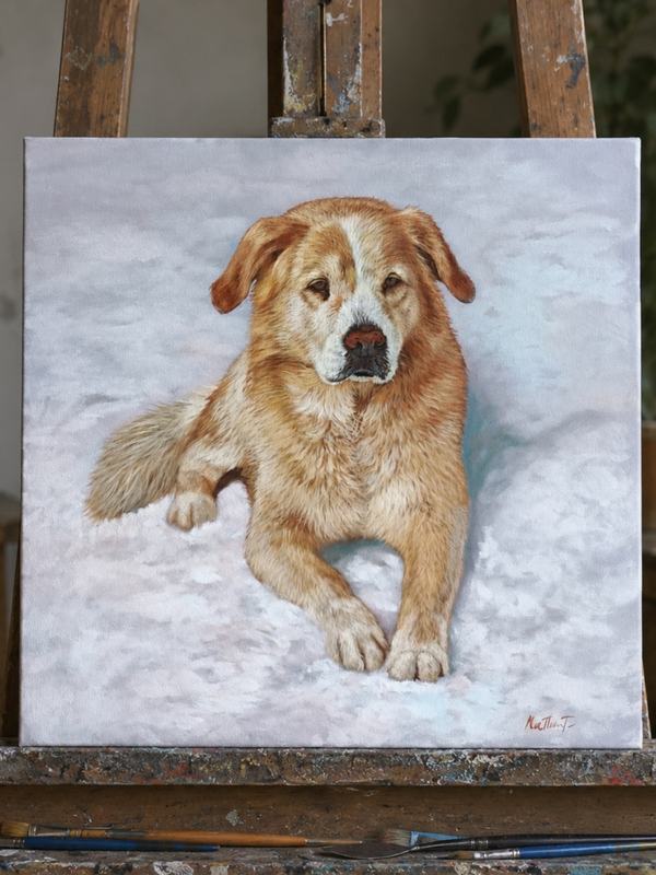Custom dog portrait painting