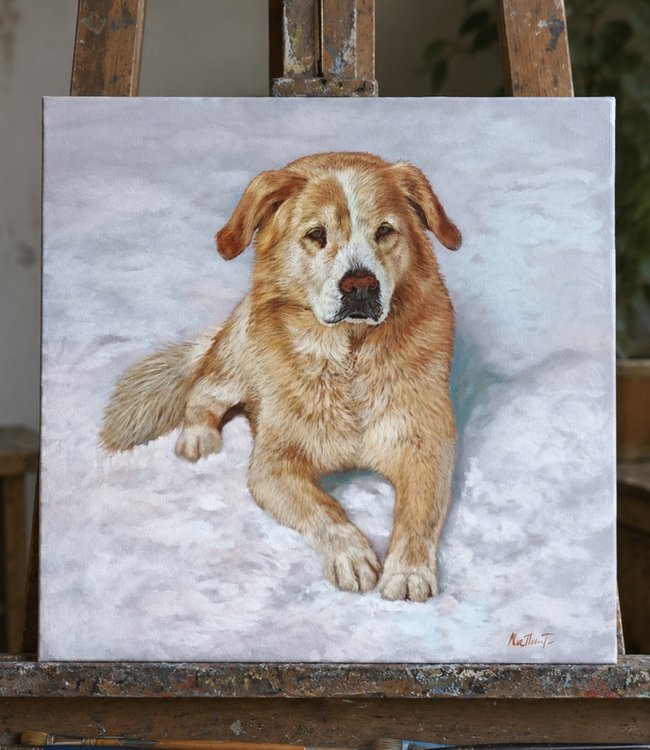 Custom portrait painting of a dog in the snow