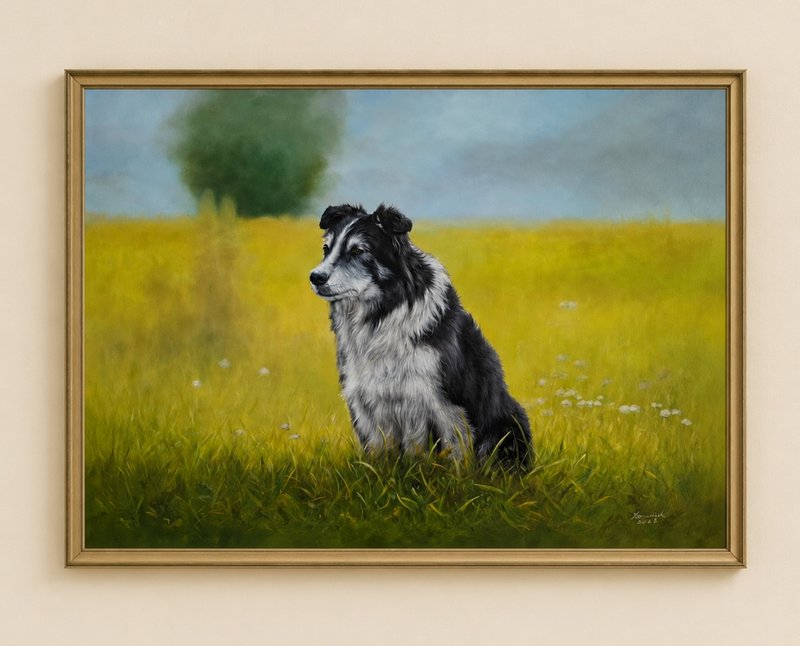 Pet Portraits