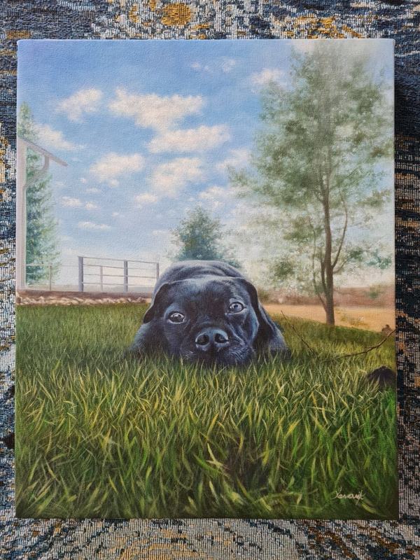 Portrait of a dog on a grassy field