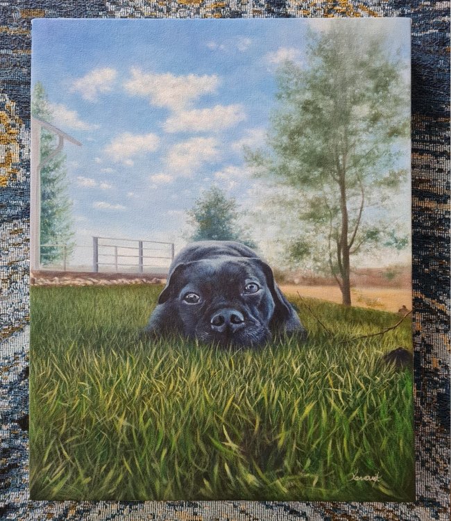 Portrait painting of a dog lying in a grassy field