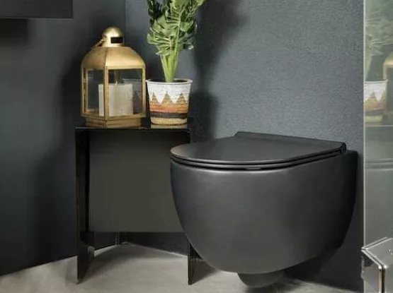 Mat zwart toilet met bijpassende fonteinset