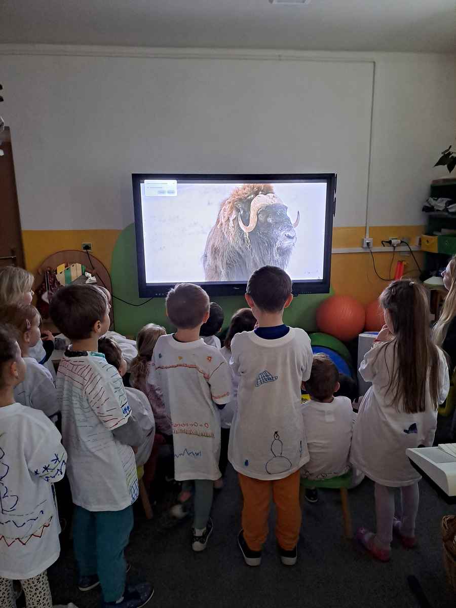 Suchozemští savci (pižmoň, liška polární, grónský pes)