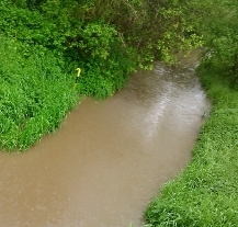 Situace na plzeňských řekách (2.6.2013)