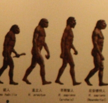 Špičkoví paleontologové diskutují v Plzni