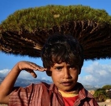 Až do pátku v Plzni pokračuje Festival arabské kultury