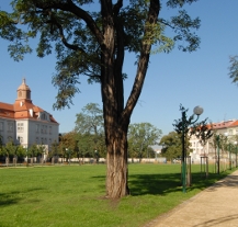 Mikulášské náměstí hlídají kamery