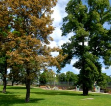 Zákaz vstupu do parků skončil