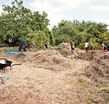 Zapomenutá zahrada u lochotínských kolejí ožila Sousedským večerem