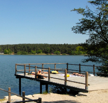 Příčinou zvýšeného výskytu cerkárií na Boleváku je chladné jaro