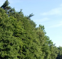 Riziko požárů je velké, varuje Správa veřejného statku