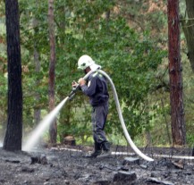 V Plzeňském kraji je vyhlášeno období zvýšeného nebezpečí vzniku požárů
