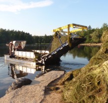 Zpráva o jakosti vody ve Velkém boleveckém rybníku k 5. 8. 2013
