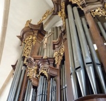 Známá harfistka Jana Boušková podpoří svým koncertem opravu varhan v kostele u františkánů