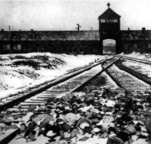 Příběhy českých vězňů v nacistických koncentračních táborech přibližuje výstava Místa, utrpení, smrti a hrdinství