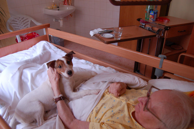 Ilustrační foto Hospic sv. Lazara