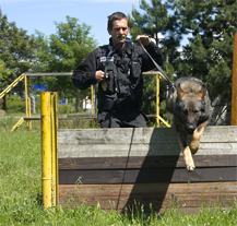 Dva noví služební psi budou pomáhat městským strážníkům