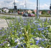 S trendy v použití letniček na záhonech seznámí seminář