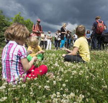Společnost Plzeň 2015 chce organizovat sousedské procházky