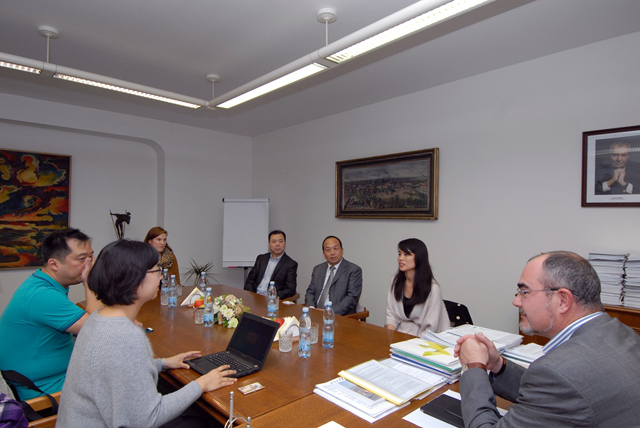 Čínská nevládní organizace by chtěla v Plzni představit současné i tradiční umění