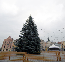 Plzeň se připravuje na advent