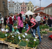 Plzeňské farmářské trhy byly ve své páté sezoně úspěšné
