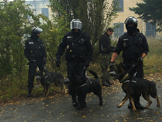 Nové služební psy získala Městská policie Plzeň