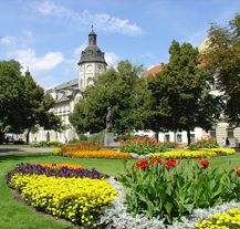 Nová zeleň za miliony oživí město Plzeň, chybět nebude „datumovka“