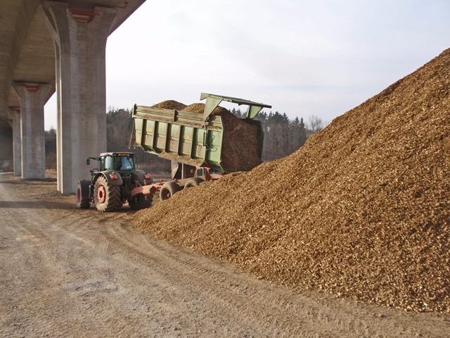 Plantáž topolů se městu vyplatila, další sklizně budou následovat