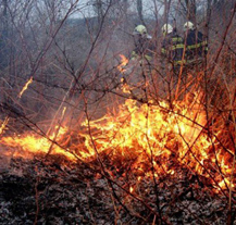 Pro Plzeňský kraj platí výstraha nebezpečí požáru, a to do odvolání
