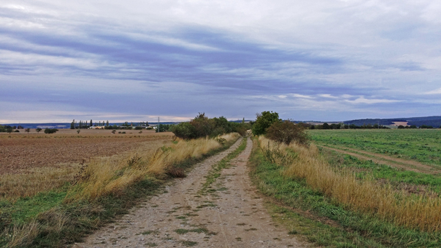 Třešňovka Křimice (foto: L. Plochý)