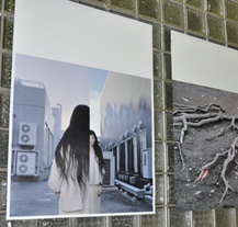 Výstava zobrazuje současné Japonsko evropskýma očima