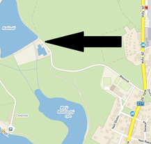 U rybníka Košinář koupíte vánoční stromek i kapra