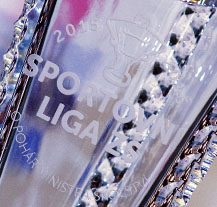 Plzeň prožije finále Sportovní ligy základních škol v házené