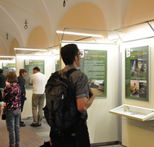 Devadesát let existence plzeňské zoo mapuje výstava v mázhauzu