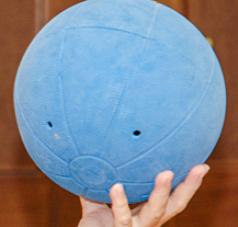 Plzeňští goalballisté vybojovali mistrovský titul, poděkoval jim primátor města