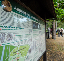 Arboretum Sofronka slaví 60 let od svého založení
