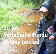 Zelený poklad pomáhá zlepšovat životní prostředí v Plzni