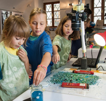 Festival Animánie zveřejňuje program, přijede i režisérka Lichožroutů