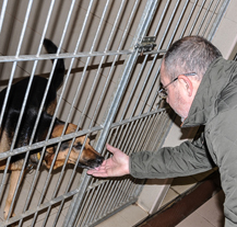 Výtěžek festivalu Vánoce pro pejsky dostal plzeňský útulek