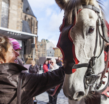 Svatomartinský víkend v Plzni nabízí pestrý program akcí