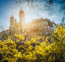 Jak si užít velikonoční Plzeň a okolí