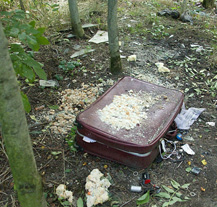 Plzeň začala likvidovat nepořádek především po lidech bez domova