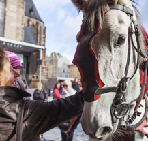 Co podniknout v Plzni o svatomartinském víkendu?