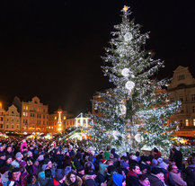 Na náměstí Republiky už září vánoční strom