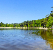 Senecký rybník se upouští pro záchranu ryb v Košináři