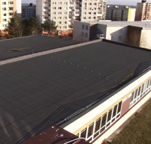 Plzeň podpoří vznik zelené střechy, včelaře i alpinkáře